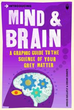 Mind And Brain: A Graphic Guide To The Science Of Your Grey Matter by Angus Gellatly