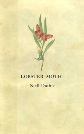 Lobster Moth by Niall Duthie