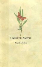 Lobster Moth