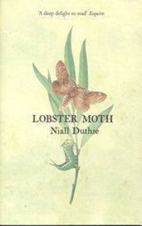 Lobster Moth by Niall Duthie