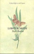 Lobster Moth