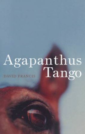 Agapanthus Tango by David Francis