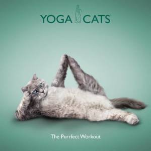 Yoga Cats: The Purrfect Workout by Daniel Borris