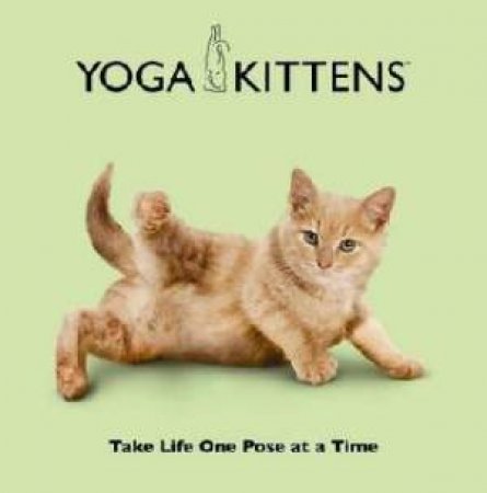 Yoga Kittens: Take Life One Pose at a Time by BORRIS DANIEL