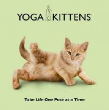 Yoga Kittens Take Life One Pose at a Time