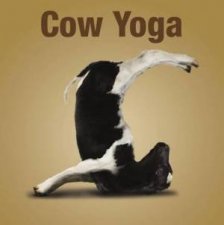 Cow Yoga