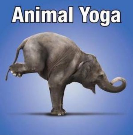 Animal Yoga by WILLOW CREEK PRESS