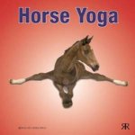 Horse Yoga