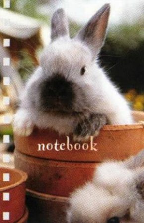 Bunnies At Play Mini Notebook by Miniature Notebook