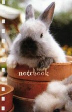 Bunnies At Play Mini Notebook