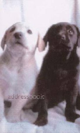 Dogs & Puppies: Mini Address Book by Unknown