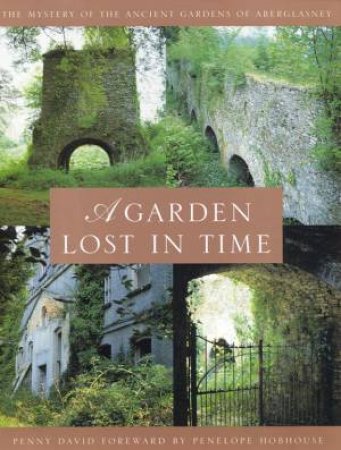 A Garden Lost In Time by Penny David