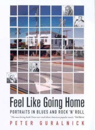 Feel Like Going Home by Peter Guralnick