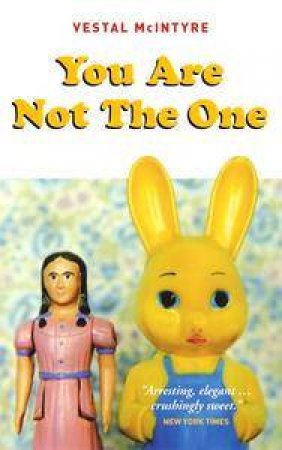 You Are Not The One by Vestal McIntyre