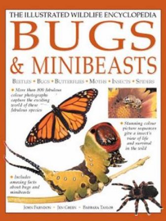 The Illustrated Wildlife Encyclopedia Of Bugs & Minibeasts by Various