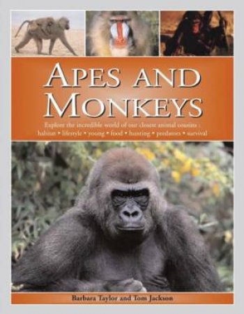 Apes And Monkeys: Explore The Incredible World Of Our Closest Animal Cousins by Barbara Taylor & Tom Jackson