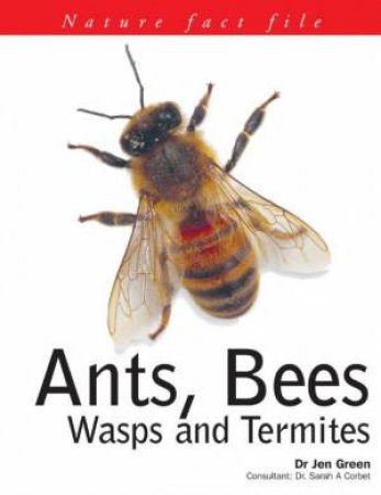 Nature Fact File: Ants, Bees, Wasps And Termites by Jen Green