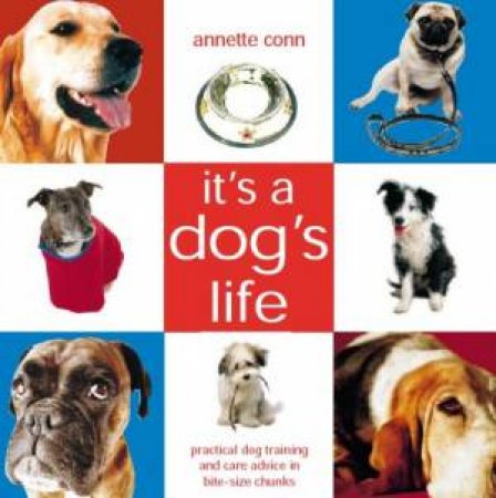 It's A Dogs Life: Practical Dog Training And Care by Annette Conn