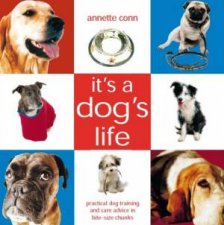 Its A Dogs Life Practical Dog Training And Care