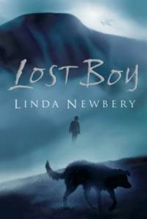 Lost Boy by Linda Newbery