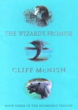 The Wizards Promise