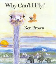 Why Cant I Fly