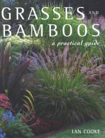 Grasses And Bamboos: A Practical Guide by Ian Cooke