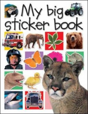 My Big Sticker Book by Unknown