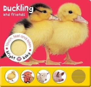 Touch, Feel & Listen: Duckling And Friends by Priddy Books