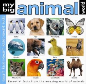 My Big Animal World Book by Various