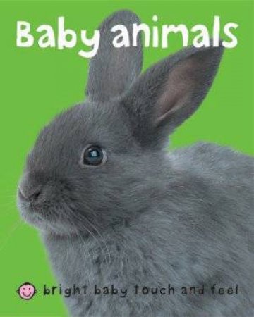 Baby Animals by Various