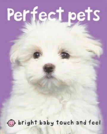 Perfect Pets by Various