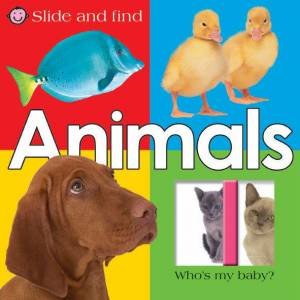 Slide And Find: Animals by Slide And Find