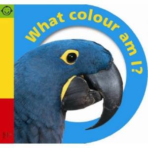 Baby Buddies: What Colour Am I? by Various