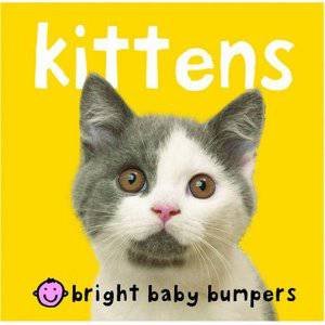 Kittens by Bright Baby Bumpers