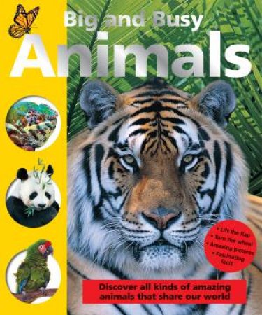 Animals by Big and Busy