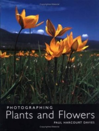 Photographing Plants And Flowers by Paul Harcourt Davies