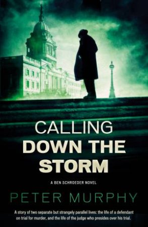 Calling Down The Storm by Peter Murphy