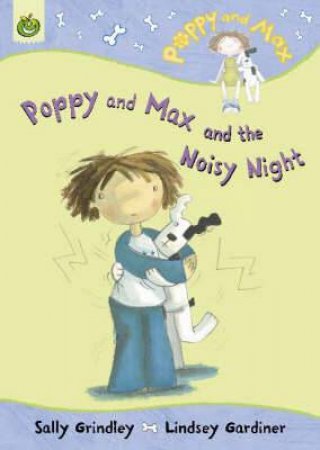 Poppy & Max: The Noisy Night by Sally Grindley