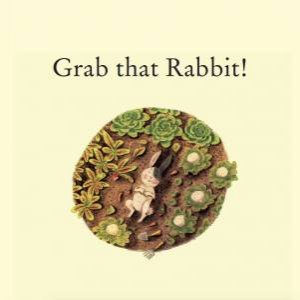 Grab that Rabbit! by Polly Faber