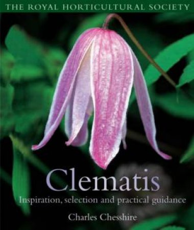 Clematis by Charles Chessire