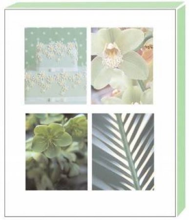 Green Boxed Notecards by Quadrille Plus