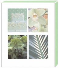 Green Boxed Notecards