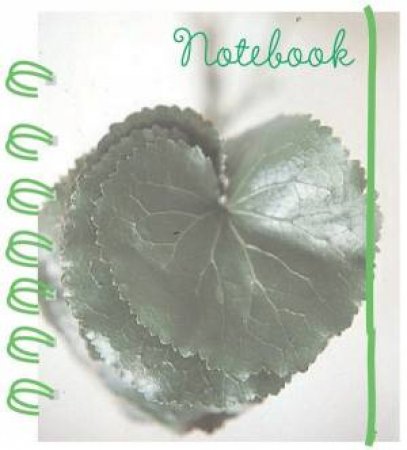 Green Spiral Notebook by Quadrille Plus