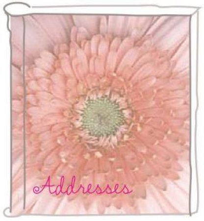 Pink Pocket Address Book by Quadrille Plus