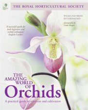 The Amazing World of Orchids