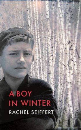 A Boy In Winter by Rachel Seiffert