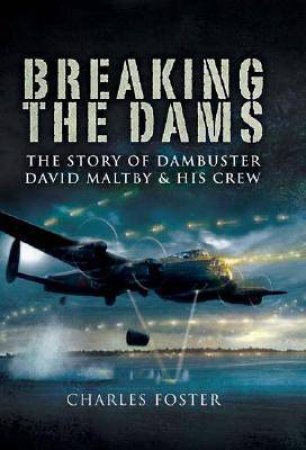 Breaking the Dams by FOSTER CHARLES