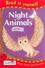 Night Animals