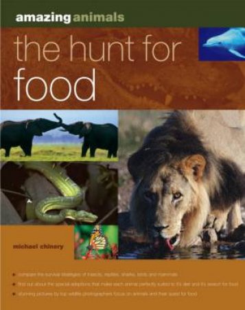 Amazing Animals: The Hunt For Food by Michael Chinery